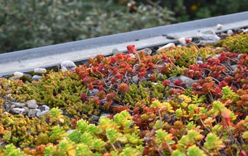 the cost of Bottomley green roof installation
